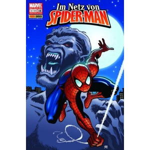 Im Netz Von Spider-man 016