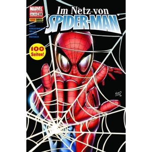 Im Netz Von Spider-man 018
