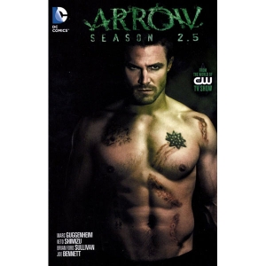 Arrow Tpb - Season 2.5